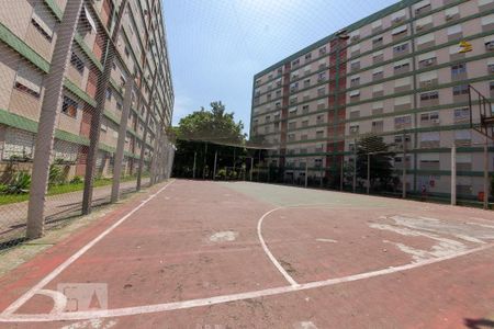 Quadra Esportiva de apartamento para alugar com 2 quartos, 65m² em Jardim Botânico, Porto Alegre