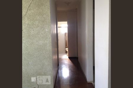 corredor de apartamento à venda com 3 quartos, 67m² em Jardim das Bandeiras, Campinas
