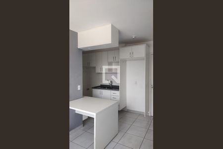 Cozinha - Armários de apartamento à venda com 2 quartos, 34m² em Cambuci, São Paulo