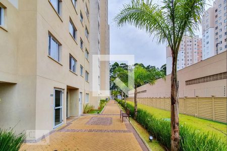 Apartamento para alugar com 41m², 2 quartos e sem vaga Apartamento para alugar com 41m², 2 quartos e sem vagaÁrea Verde