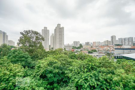 Apartamento para alugar com 53m², 2 quartos e 1 vaga Apartamento para alugar com 53m², 2 quartos e 1 vagaVista área de serviço