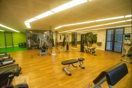 Apartamento para alugar com 73m², 3 quartos e 2 vagas Apartamento para alugar com 73m², 3 quartos e 2 vagasÁrea comum - Academia