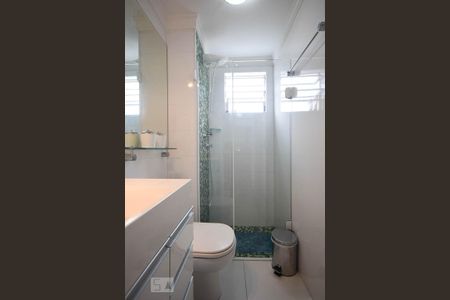 Banheiro de apartamento para alugar com 2 quartos, 49m² em Jardim Ampliação, São Paulo