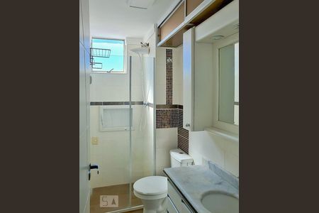 Banheiro de apartamento para alugar com 2 quartos, 50m² em Vila Padre Manoel de Nóbrega, Campinas