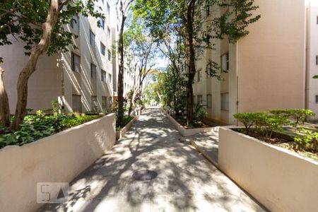 Área comum de apartamento à venda com 2 quartos, 54m² em Jardim São Silvestre, São Paulo