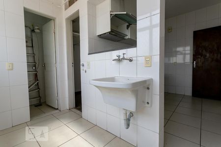 Área de Serviço de apartamento para alugar com 3 quartos, 155m² em Cidade Nova, Belo Horizonte