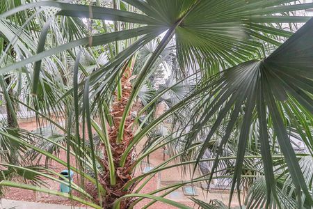 Apartamento à venda com 48m², 2 quartos e 1 vaga Apartamento à venda com 48m², 2 quartos e 1 vagaVista do Quarto 1