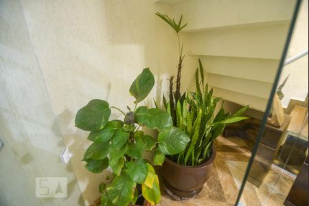 Sala de casa para alugar com 2 quartos, 120m² em Penha de França, São Paulo