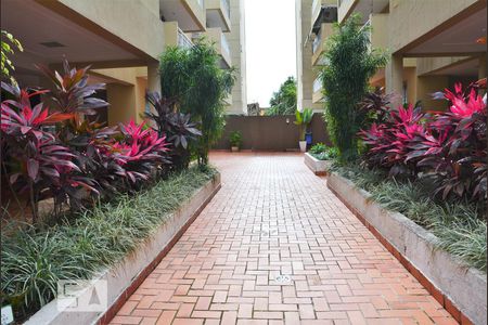 Apartamento para alugar com 68m², 2 quartos e 1 vagaÁrea comum