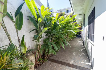 Casa à venda com 350m², 4 quartos e 4 vagasCorredor externo 1