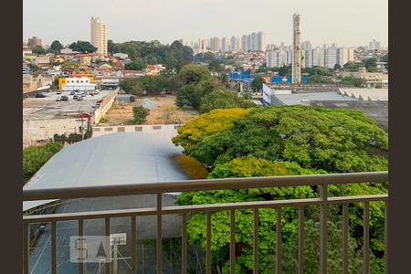 Varanda de apartamento para alugar com 3 quartos, 66m² em Instituto de Previdência, São Paulo
