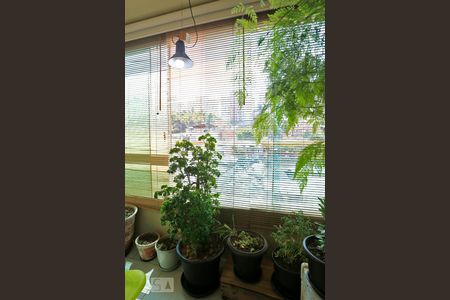 Varanda de apartamento à venda com 3 quartos, 65m² em Paraisópolis, São Paulo