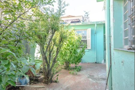 Casa para alugar com 150m², 3 quartos e 1 vaga Casa para alugar com 150m², 3 quartos e 1 vagaQuintal
