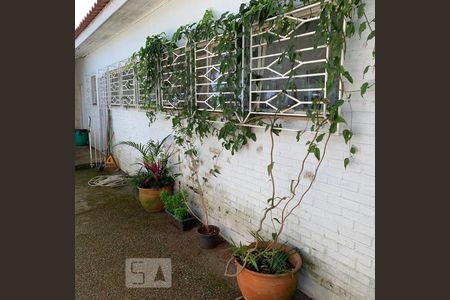 Casa para alugar com 1000m², 4 quartos e sem vaga Casa para alugar com 1000m², 4 quartos e sem vagaJardim