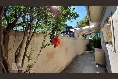 Quintal de casa para alugar com 4 quartos, 130m² em Parque Mandaqui, São Paulo