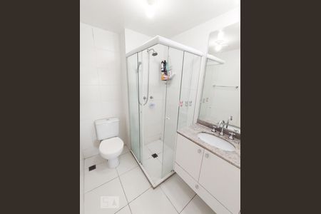 Banheiro Social de apartamento para alugar com 2 quartos, 56m² em Vila Formosa, São Paulo