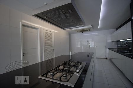 Apartamento à venda com 555m², 4 quartos e sem vagaCozinha