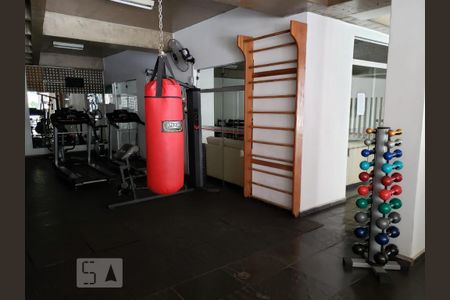 Apartamento para alugar com 60m², 2 quartos e 1 vaga Apartamento para alugar com 60m², 2 quartos e 1 vagaÁrea comum - Academia