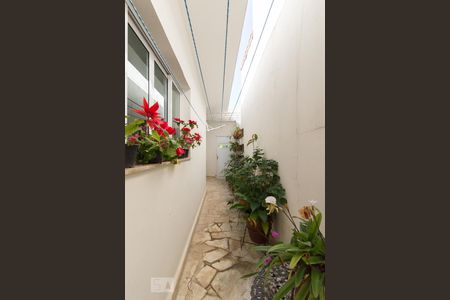 Casa à venda com 541m², 5 quartos e 5 vagas Casa à venda com 541m², 5 quartos e 5 vagasCorredor Jardim