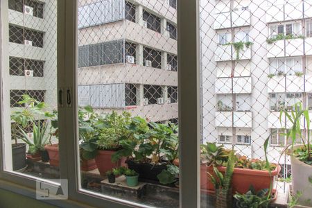 Vista de apartamento para alugar com 2 quartos, 82m² em Centro, Florianópolis