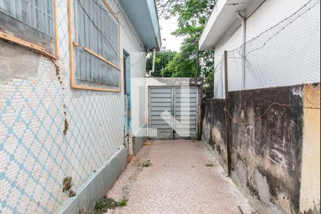 Casa à venda com 300m², 5 quartos e 5 vagasQuintal