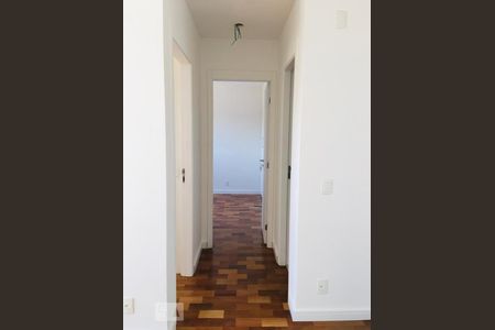 Corredor de apartamento para alugar com 2 quartos, 49m² em Vila Santa Catarina, São Paulo