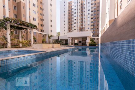 Área comum - Piscina de apartamento para alugar com 1 quarto, 49m² em Planalto, Belo Horizonte