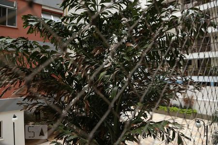 Apartamento à venda com 110m², 3 quartos e 2 vagasVista da Sala