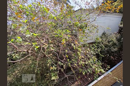 Apartamento à venda com 350m², 4 quartos e 4 vagasQuarto 4 Suite