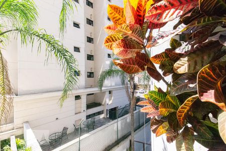 Vista de apartamento à venda com 3 quartos, 143m² em Indianópolis, São Paulo