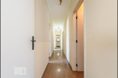 Corredor de apartamento para alugar com 3 quartos, 188m² em Cambuí, Campinas