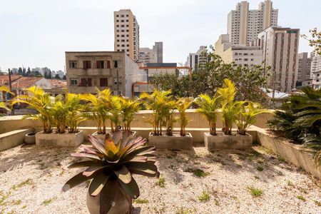 Apartamento para alugar com 110m², 3 quartos e 2 vagasVista