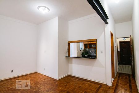 Sala de apartamento à venda com 2 quartos, 75m² em Rio Comprido, Rio de Janeiro
