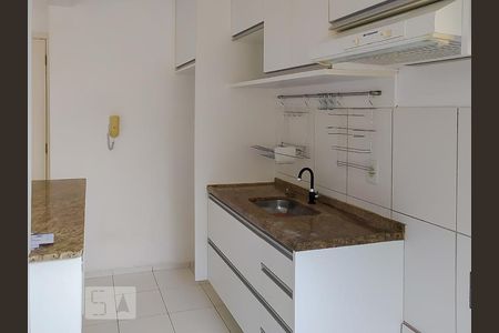 Apartamento para alugar com 50m², 2 quartos e 1 vagaCozinha - Armários