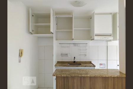 Cozinha - Armários de apartamento para alugar com 2 quartos, 50m² em Jardim Nova Europa, Campinas