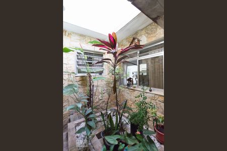 Casa à venda com 196m², 3 quartos e 2 vagasJardim