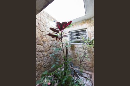 Casa à venda com 196m², 3 quartos e 2 vagasJardim