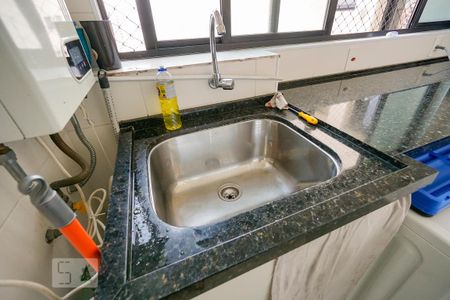 Detalhe área de serviço de apartamento para alugar com 2 quartos, 104m² em Jardim Avelino, São Paulo