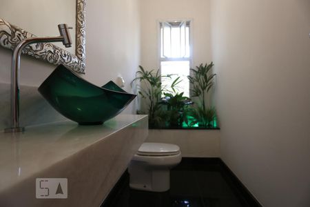 Lavabo de casa à venda com 5 quartos, 500m² em Vila Indiana, São Paulo