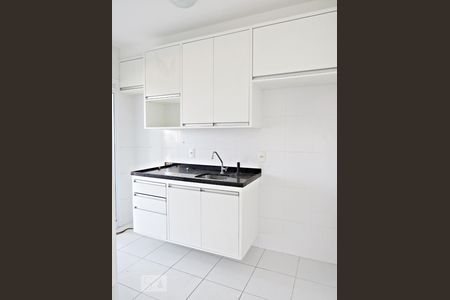 Apartamento para alugar com 59m², 2 quartos e 1 vagaCozinha - Armários