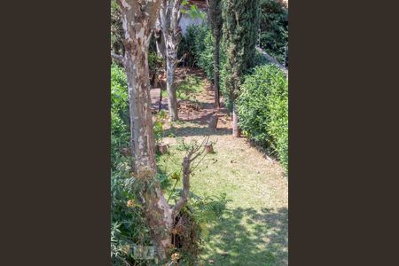 Salão de casa à venda com 6 quartos, 200m² em Vila Morse, São Paulo