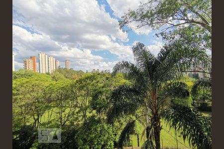 Vista de apartamento para alugar com 3 quartos, 67m² em Paraíso do Morumbi, São Paulo