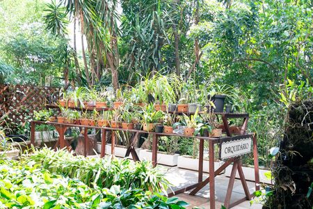 Apartamento à venda com 180m², 4 quartos e 1 vagaOrquidário