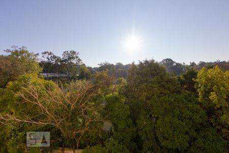 Apartamento à venda com 73m², 3 quartos e sem vagaVista do Quarto 3