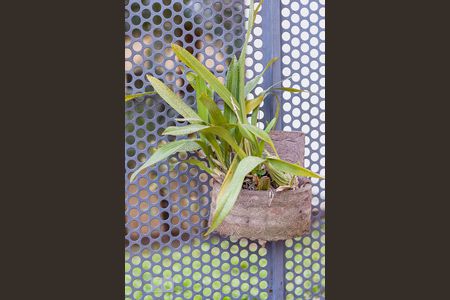 Apartamento à venda com 63m², 3 quartos e 1 vaga Apartamento à venda com 63m², 3 quartos e 1 vagaEntrada - Detalhe