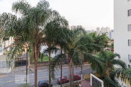 Apartamento à venda com 63m², 3 quartos e 1 vaga Apartamento à venda com 63m², 3 quartos e 1 vagaVista do Quarto 1