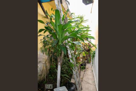Casa para alugar com 200m², 3 quartos e 1 vaga Casa para alugar com 200m², 3 quartos e 1 vagaJARDIM