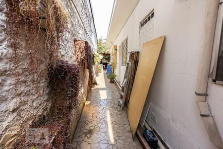 Casa à venda com 480m², 6 quartos e 6 vagasQuintal