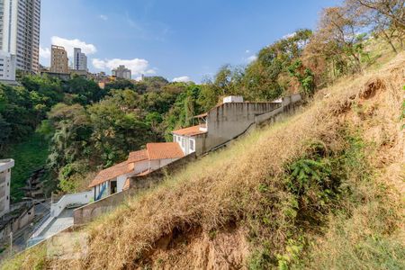 Apartamento à venda com 4 quartos, 243m² em Santo Antônio, Belo Horizonte