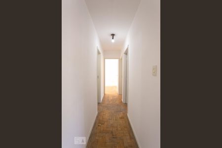 Corredor de apartamento à venda com 3 quartos, 67m² em Jardim Botânico , Porto Alegre